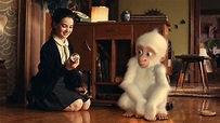 Watch Snowflake, The White Gorilla Online | 2013 Movie | Yidio