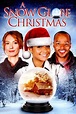 A Snow Globe Christmas (2013) - Movie | Moviefone