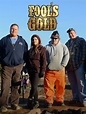 Fool's Gold - Where to Watch and Stream - TV Guide