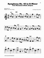 Symphony No. 40 In G Minor, First Movement Excerpt Sheet Music ...