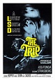 The Trip 1967 Poster