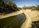 The Darling River is simply not supposed to dry out, even in drought