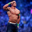 John Cena Wins WWE World Heavyweight Championship Ladder Match ...
