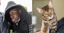 Kurt Zouma's cats pictured as RSPCA blast "unacceptable cruelty" of ...