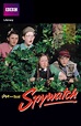 Spywatch (TV Series 1996-1996) - Backdrops — The Movie Database (TMDb)