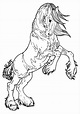 Free Printable Horse Coloring Pages Web Therefore We Have Prepared For ...