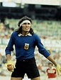 Hugo Gatti. Selección Argentina. 1977 Legends Football, International ...