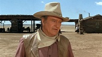 Os Cowboys (1972)