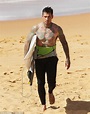 Carey Hart shows off his extensive body art as he joins wife Pink and ...