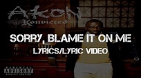Akon - Sorry, Blame It On Me (Lyrics/Lyric Video) - YouTube