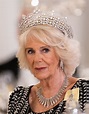 Camilla Rosemary Shand, todo lo que debes saber sobre la reina consorte ...