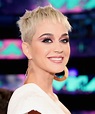 Katy Perry 2021 Look - See Every Fashion Katy Perry Has Worn On American Idol Season 4 On Abc ...