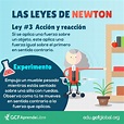 Tercera Ley De Newton Ejemplos Y Fórmulas Actualizada 2021 | Images and ...