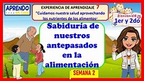 SABIDURIA DE NUESTROS ANTEPASADOS EN LA ALIMENTACIÓN-- 1ER Y 2DO ...