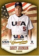 Amazon.com: 2013 Panini USA Baseball Card #40 Davey Johnson MINT ...