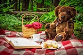 Teddy Bear Picnic Day - July 10, 2023 - Happy Days 365