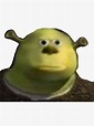 Shrek Face Meme » What'Up Now