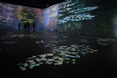 Monet : The Immersive Experience | Exhibition Hub | World Class Exhibitions