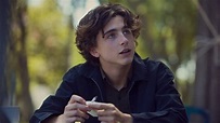 Lady Bird Online fili - PlayerTV