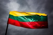 Lithuania celebrates 27 yrs of restored independence - EN.DELFI