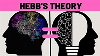 Hebb's Theory Explained - YouTube