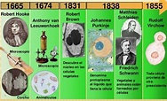 Antecedentes de la teoría celular - Solo Ciencia