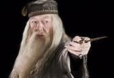 Albus Dumbledore voted teachers' top fictional teacher | News