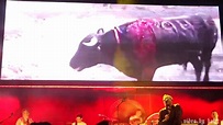 Morrissey-THE BULLFIGHTER DIES-Live @ Royal Albert Hall, London, UK ...