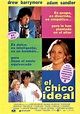 Cartel de la película El chico ideal - Foto 3 por un total de 5 ...