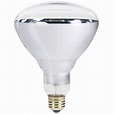 Philips 250-Watt 120-Volt BR40 Incandescent Heat Lamp Light Bulb-416743 ...