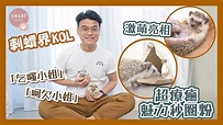 【寵物 KOL星訪】第20集《Pet 奴騷》Part 1｜剌蝟界 KOL - 乞嗤小姐 + 呵欠小姐｜激萌亮相 超療癒魅力秒圈粉｜Smart ...