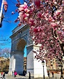 Top 5 Places to Enjoy Cherry Blossoms in New York This Spring