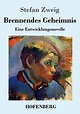 Brennendes Geheimnis - Stefan Zweig (Buch) – jpc
