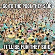 50 Hilarious Pool Memes To Get You Excited For The First Day Of Summer ...