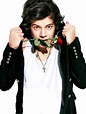 Collection of Harry Styles PNG. | PlusPNG