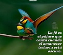 La fé es el pájaro que canta cuando ……… | Lovely quote, Faith quotes ...