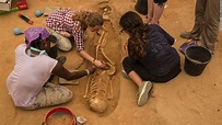 Goliath's burial site? First Philistine cemetery found - CNN