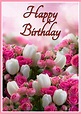 Beautiful Birthday Flowers Pictures : 1000 Birthday Flowers Pictures ...