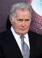 Actor Martin Sheen to receive honorary degree during University of Dayton ceremonies - The Blade