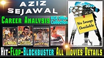 Director Aziz Sejawal Box Office Collection Analysis Hit and Flop ...