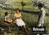Waldrausch (1962)
