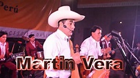 MARTIN VERA EN CONCIERTO 2017 - YouTube
