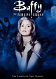 Buffy, cazavampiros temporada 1 - Ver todos los episodios online