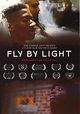 Fly by Light - película: Ver online completas en español