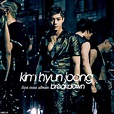 Kim Hyun Joong - Breakdown by SBR19 on DeviantArt