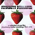 Strawberry Bubblegum (A Collection Of Pre-10cc Strawberry Studios ...