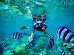 8 Best Places To Snorkel In Malaysia With Amazing Marine Life - Fravel