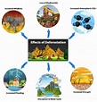 Deforestation: Causes, Effects, and Preventive Measures