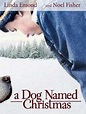 Poster zum Film Ein Hund namens Weihnachten - Bild 7 auf 7 - FILMSTARTS.de