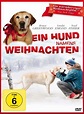 Ein Hund namens Weihnachten - Film 2009 - FILMSTARTS.de